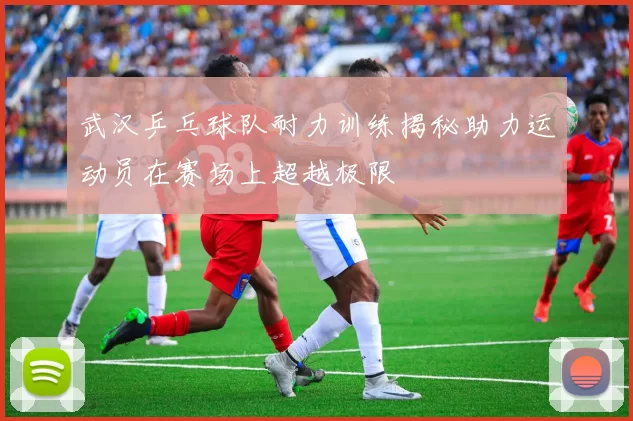 武汉乒乓球队耐力训练揭秘助力运动员在赛场上超越极限