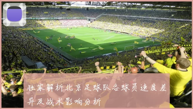 独家解析北京足球队各球员速度差异及战术影响分析