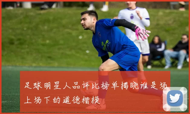足球明星人品评比榜单揭晓谁是场上场下的道德楷模