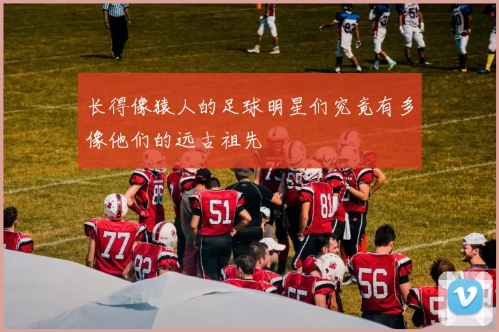 长得像猿人的足球明星们究竟有多像他们的远古祖先