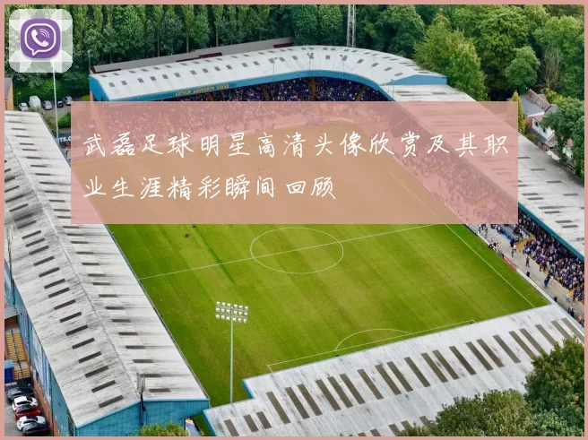 武磊足球明星高清头像欣赏及其职业生涯精彩瞬间回顾