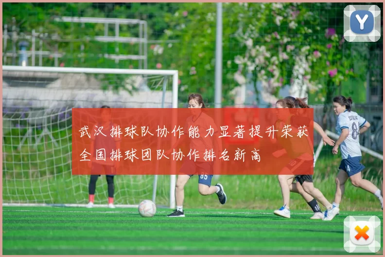 武汉排球队协作能力显著提升荣获全国排球团队协作排名新高