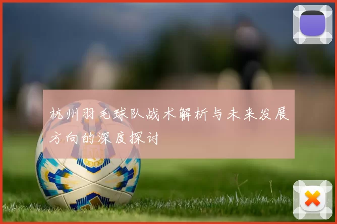 杭州羽毛球队战术解析与未来发展方向的深度探讨