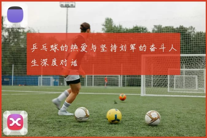 乒乓球的热爱与坚持刘军的奋斗人生深度对话