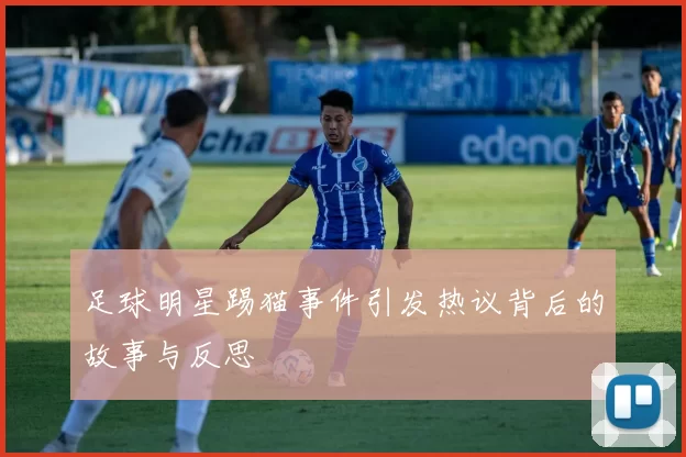 足球明星踢猫事件引发热议背后的故事与反思
