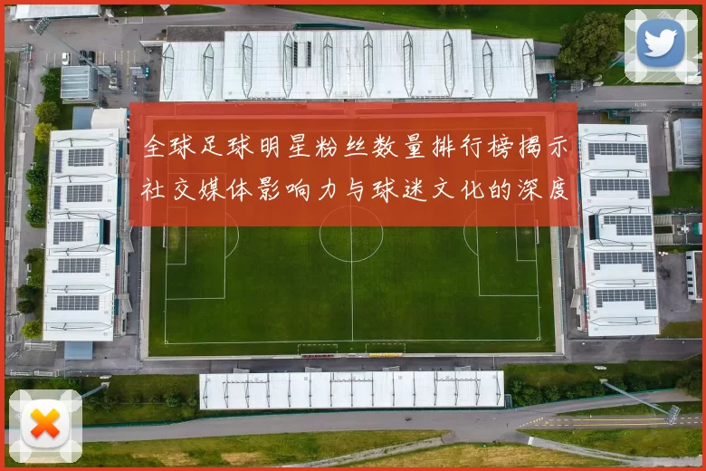 全球足球明星粉丝数量排行榜揭示社交媒体影响力与球迷文化的深度分析