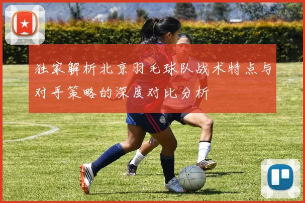 独家解析北京羽毛球队战术特点与对手策略的深度对比分析