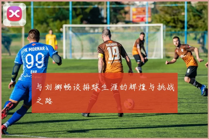 与刘娜畅谈排球生涯的辉煌与挑战之路