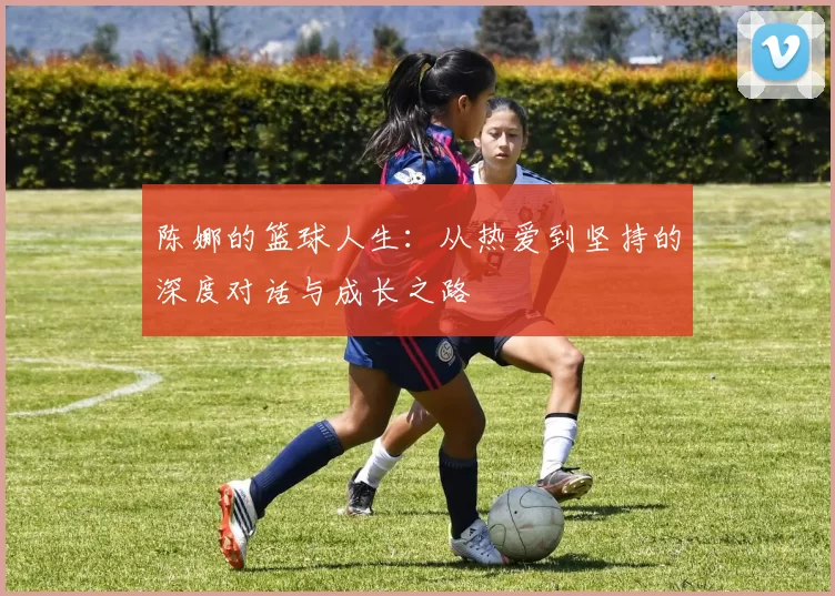 陈娜的篮球人生：从热爱到坚持的深度对话与成长之路
