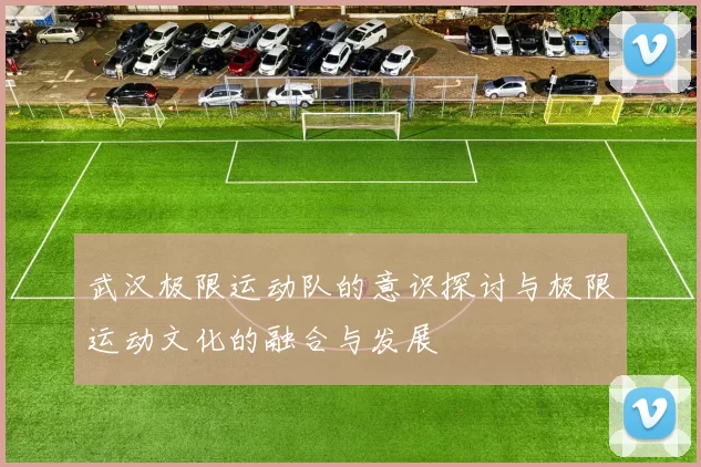 武汉极限运动队的意识探讨与极限运动文化的融合与发展