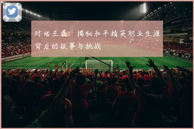 对话王磊：揭秘和平精英职业生涯背后的故事与挑战