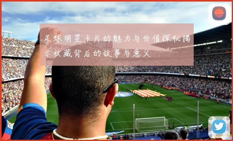 足球明星卡片的魅力与价值探秘揭示收藏背后的故事与意义