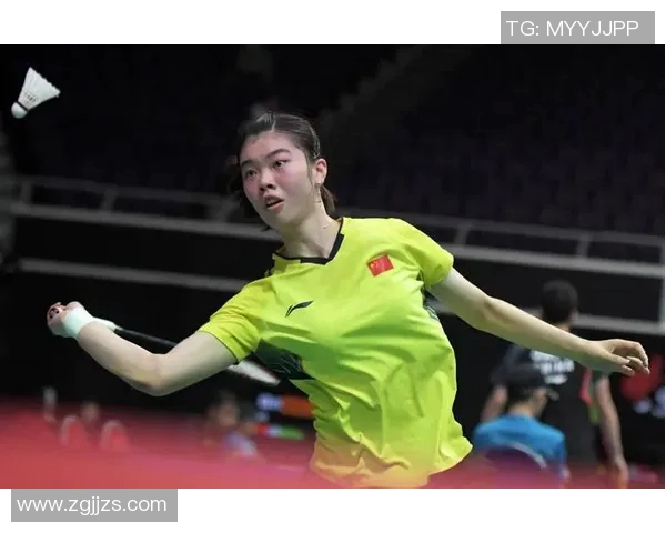 南京羽毛球队在挑战赛中的心理素质分析与表现评估