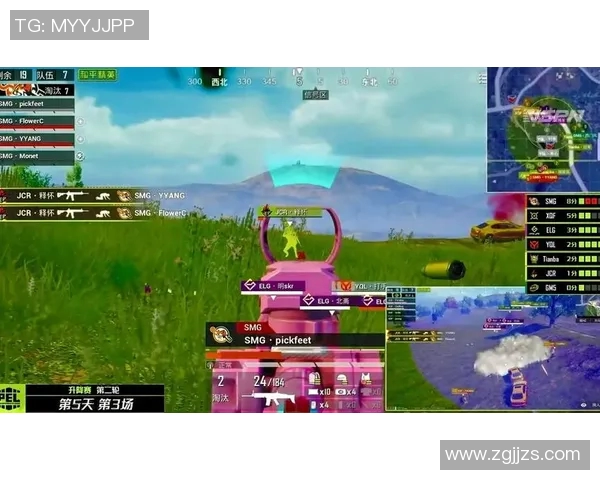 和平精英热议TES耐力争议引发玩家热烈讨论与反思